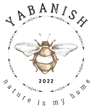 Yabanish arı logosu
